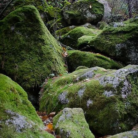 Casas Do Soito Farmház Seia