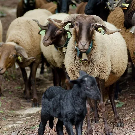 Farmház Casas Do Soito Seia
