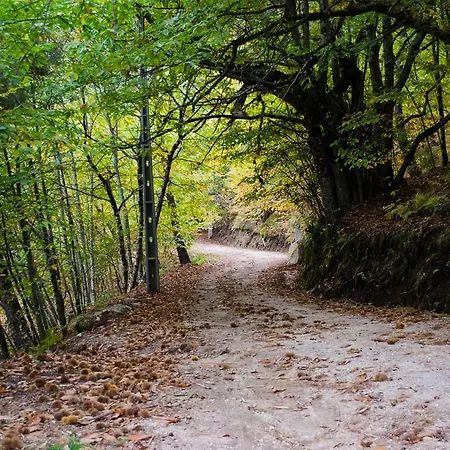 Bauernhof Casas Do Soito