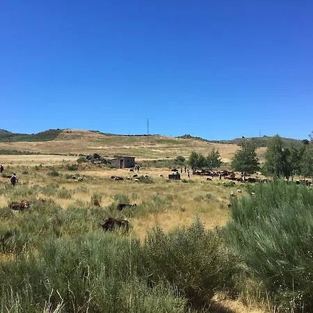 Casas Do Soito Seia