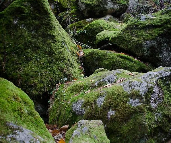 Casas Do Soito Vakantieboerderij Seia