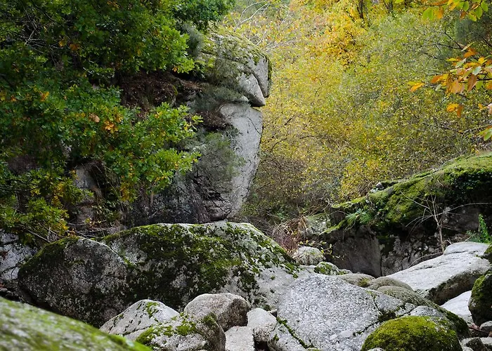 Vakantieboerderij Casas Do Soito