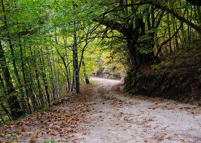 Vakantieboerderij Casas Do Soito