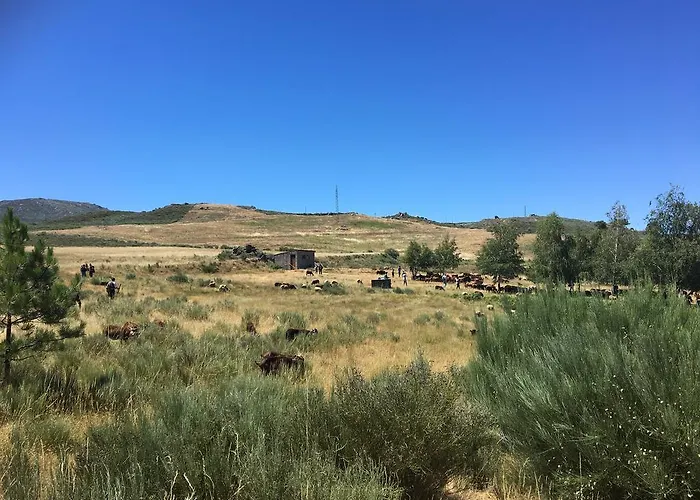 Casas Do Soito セイア